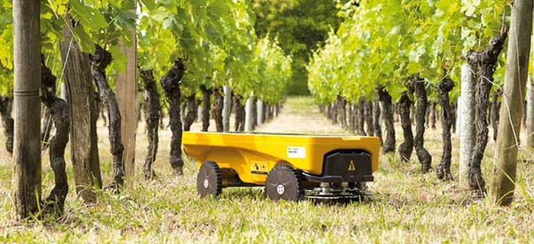 Un robot solaire pour remplacer le glyphosate et désherber naturellement ?