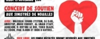 Concert-Solidarité-Noailles-Molotov