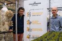 champignon-marseille-maxime-nicolas