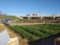 Heko-Talus-Marseille