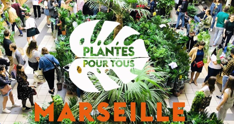 Une grande vente de plantes vertes ce week-end rue de la République