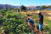 , Des m&eacute;c&egrave;nes se mobilisent pour d&eacute;velopper l&rsquo;agriculture urbaine et durable &agrave; Marseille, Made in Marseille