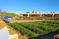 heko-talus-marseille-ok
