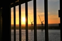 IMG_4695