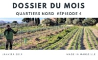 dossier-du-mois-terre-de-mars