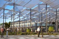 j1-canopee-plantes