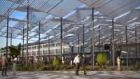 j1-canopee-plantes
