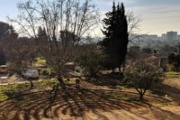 potager-paysan-urbain-cloitre