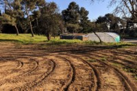 potager-paysan-urbain-cloitre-marseille