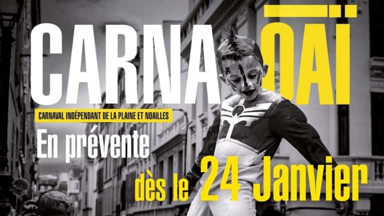 « Carna Oaï » : retracer 20 ans du carnaval de la Plaine en photos