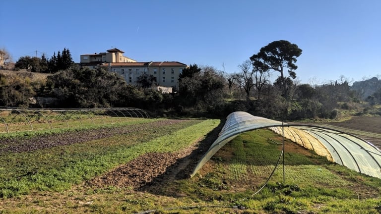 À la ferme Garnerone dans les quartiers nord, la salade est une affaire de famille