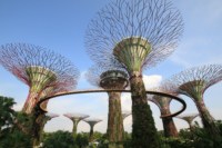 ferme-verticale-singapour-vegetation-ville