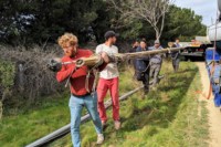 foresta-marseille-quartier-nord-bateaux