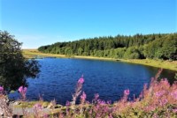 lozere-lac-bonnecombe