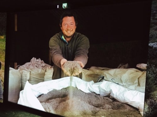, Plongez dans l&rsquo;exposition immersive &laquo;&nbsp;Saveurs et lumi&egrave;re de Provence&nbsp;&raquo;, Made in Marseille