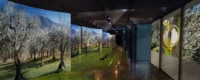 exposition-immersive-saveur-lumiere-provence
