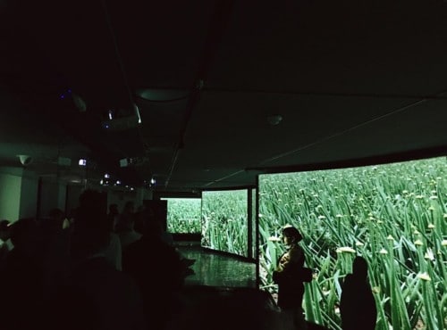 , Plongez dans l&rsquo;exposition immersive &laquo;&nbsp;Saveurs et lumi&egrave;re de Provence&nbsp;&raquo;, Made in Marseille