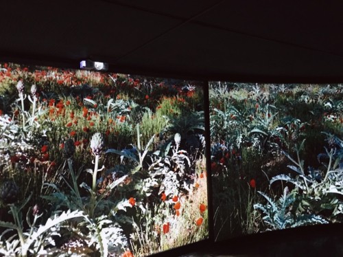 , Plongez dans l&rsquo;exposition immersive &laquo;&nbsp;Saveurs et lumi&egrave;re de Provence&nbsp;&raquo;, Made in Marseille