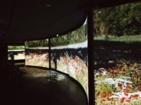 saveurs-provence-expo