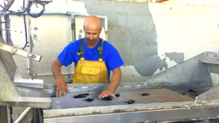La carte pêche : un dispositif pour valoriser le travail des professionnels de la mer