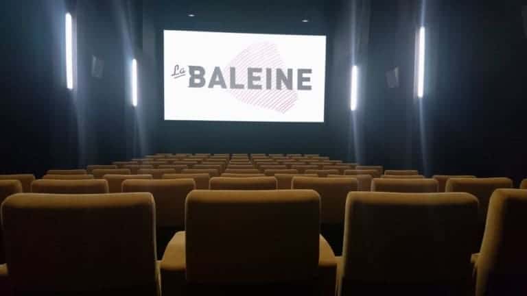 Au Cours Ju, le ciné-bistrot La Baleine surfe sur la vague du succès