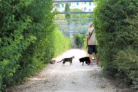 , Parc de Moline, l&rsquo;&eacute;cojardin de 11 hectares qui remplace la L2, Made in Marseille
