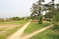 parc-moline