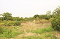 , Parc de Moline, l&rsquo;&eacute;cojardin de 11 hectares qui remplace la L2, Made in Marseille
