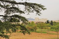 , Parc de Moline, l&rsquo;&eacute;cojardin de 11 hectares qui remplace la L2, Made in Marseille