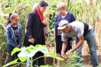 jardin-arzial-monique-cordier-lisette-narducci