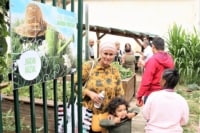 jardin-arzial-partage-collectif