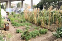 jardin-partage-collectif-arzial-passerelle