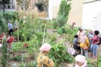 jardin-partage-collectif-arzial-saint-mauront