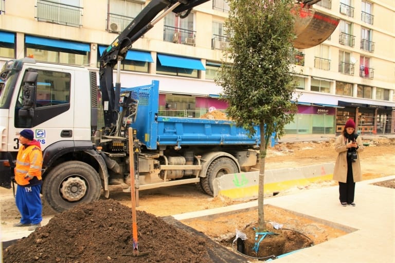 365 arbres en plus dans le centre-ville avant la fin de l&rsquo;année