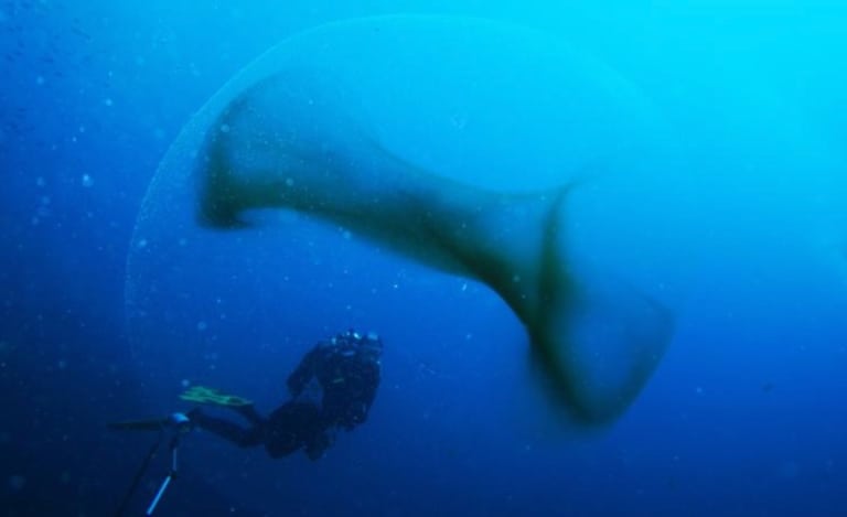 Insolite – Une sphère transparente observée dans les Calanques de Marseille