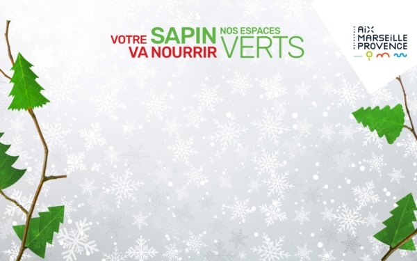 Habille site Mars Actu Sapin Noel 2020-1