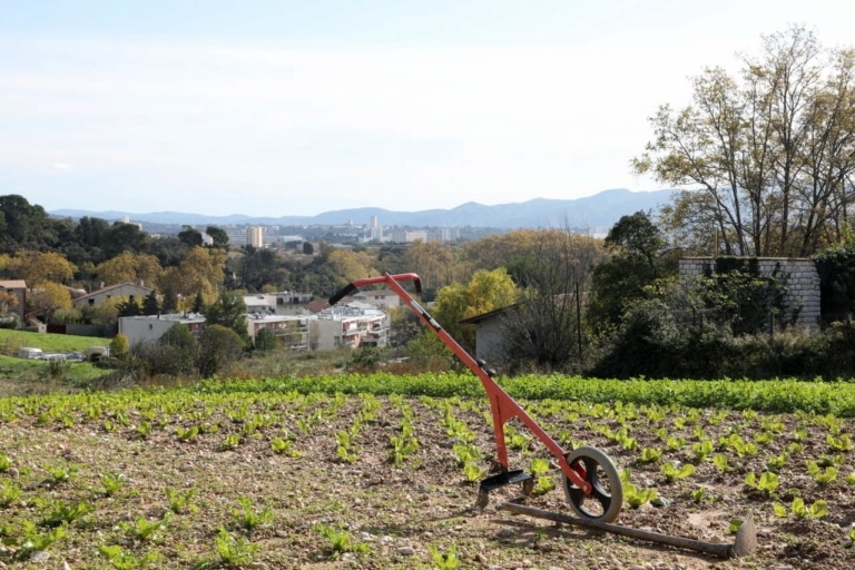 La Métropole recherche des agriculteurs pour cultiver près de 2 hectares à Saint-Menet