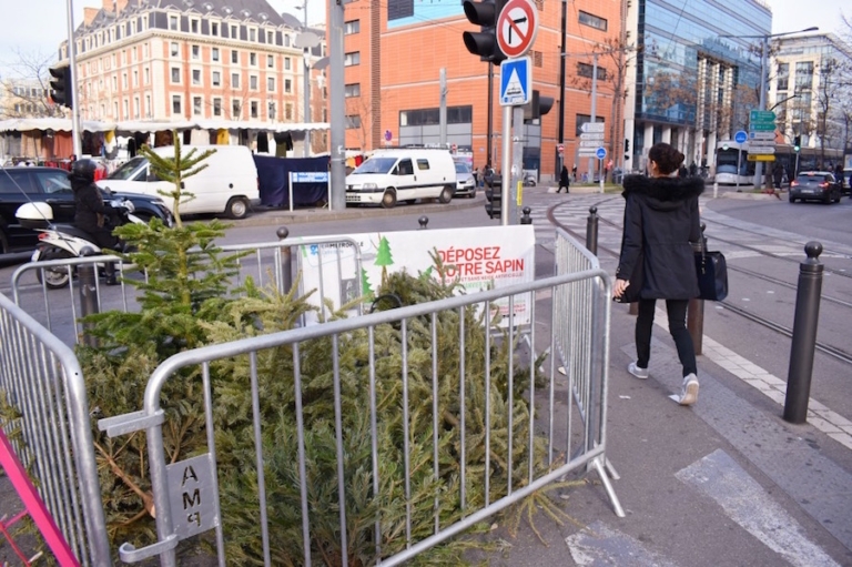 125 tonnes de sapins collectées et transformées en compost dans la métropole