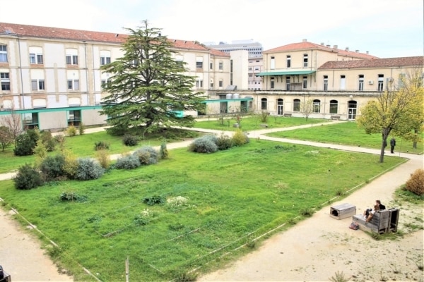 hopital-sainte-marguerite-batiment-jardin-arbre