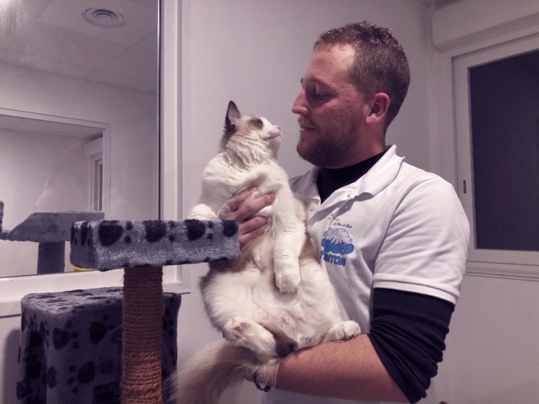 Un hôtel-club pour chats ouvre ses portes à Mazargues