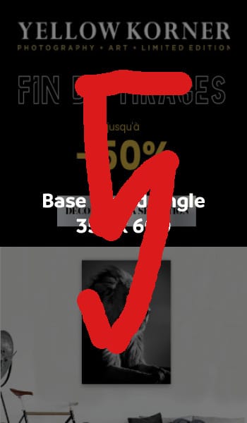 2019_PQP_logomockup_45