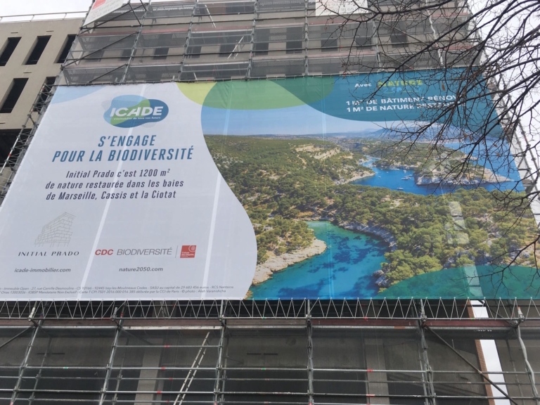 Sur le Prado, un chantier de logements veut repeupler les fonds marins des Calanques
