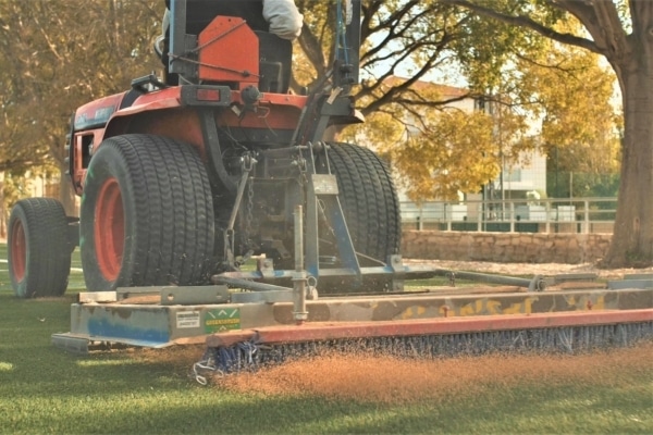 noyau-olive-pelouse-synthetique-tracteur