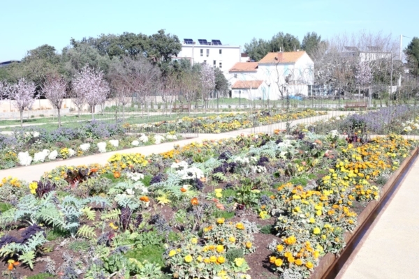 , En images – D&eacute;couvrez le parc de la Jarre au sud de Marseille, Made in Marseille