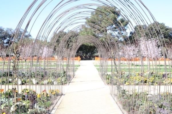 , En images – D&eacute;couvrez le parc de la Jarre au sud de Marseille, Made in Marseille