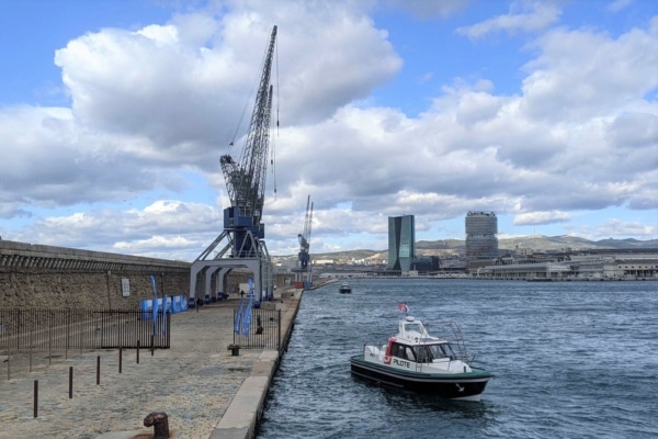 PXL_20210315_142321561 (1)