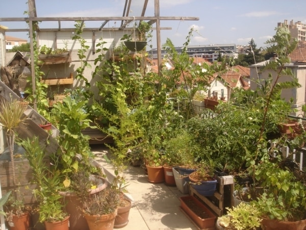 potager-urbain