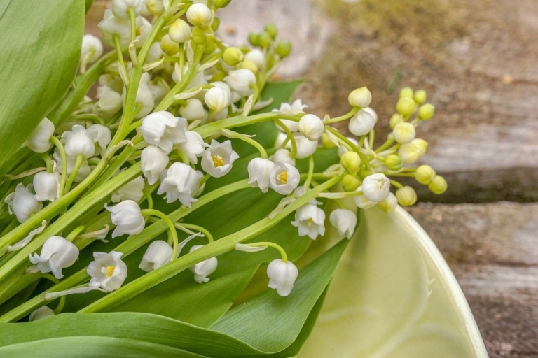 Les fleuristes indépendants s&rsquo;organisent pour sauver leur 1er mai