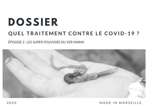 , Covid-19 – Didier Raoult : &laquo;&nbsp;Les donn&eacute;es d&eacute;montrent l&rsquo;efficacit&eacute; de la chloroquine&nbsp;&raquo;, Made in Marseille