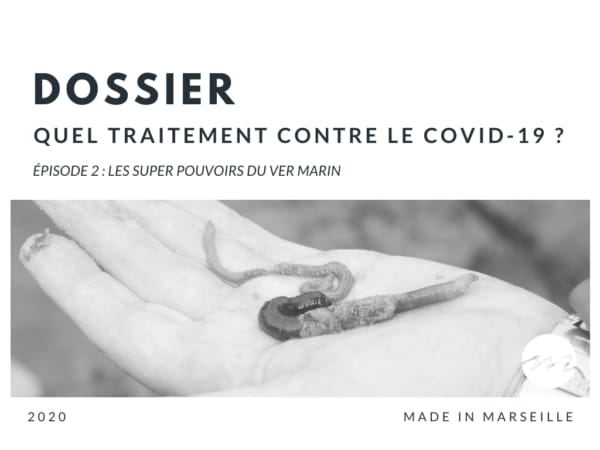 traitement-coronavirus-ver-marin-arenicole